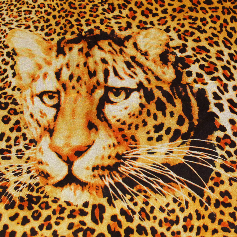 Paréo - Guépard