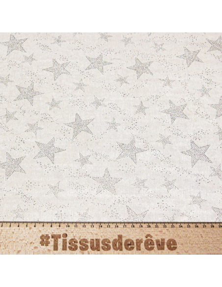 Organza imprimé Noël - Étoile argent