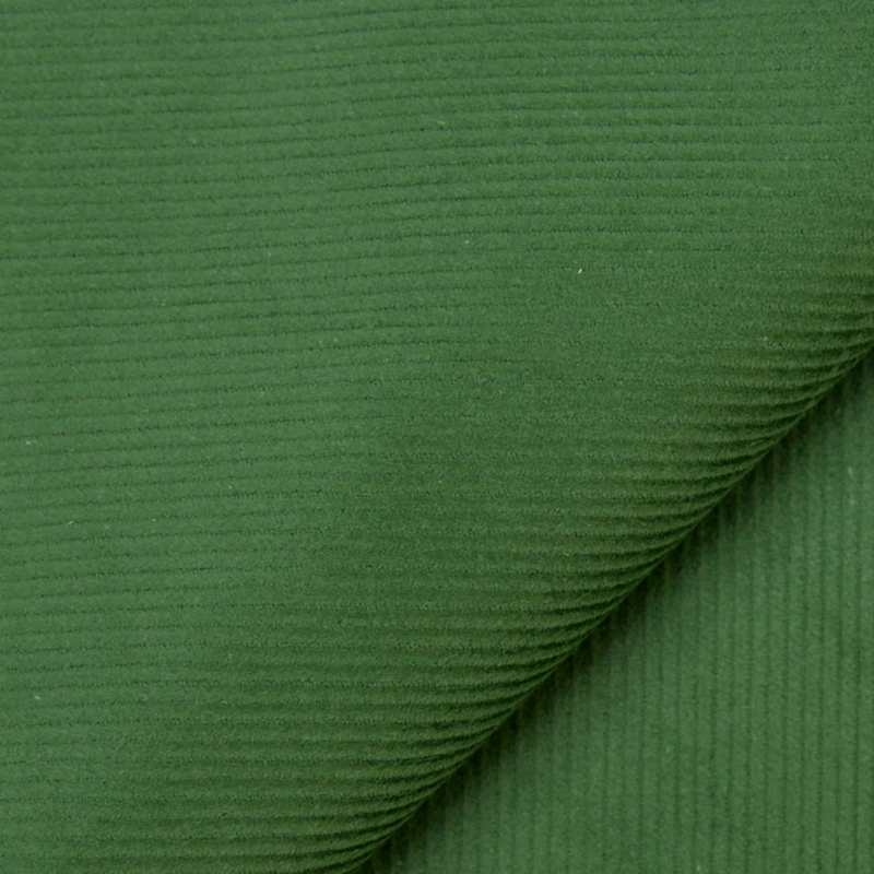 Velours côtelé - Vert sapin