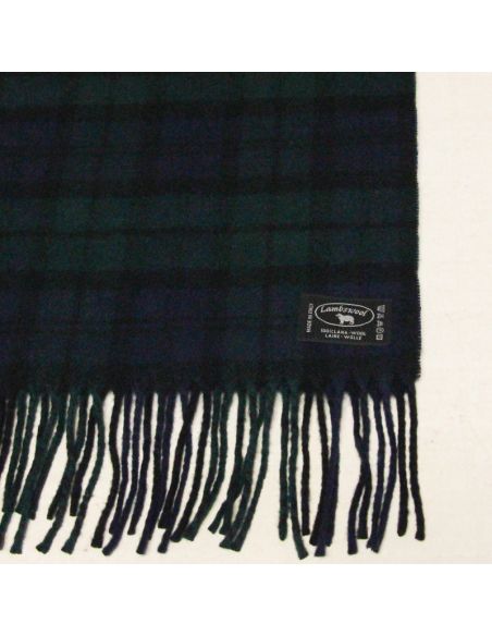 Écharpe à frange de laine - Carreaux vert et bleu