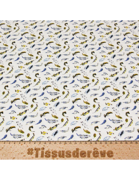 Jersey coton peigné & élasthanne - Plumes colorées