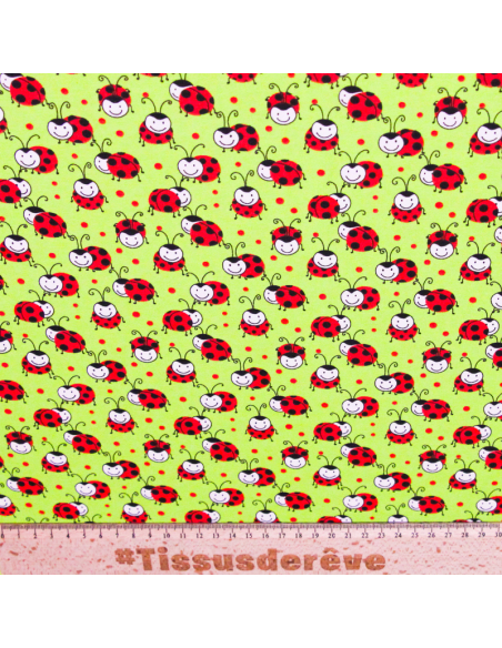 Jersey coton peigné & élasthanne – Coccinelles fond vert