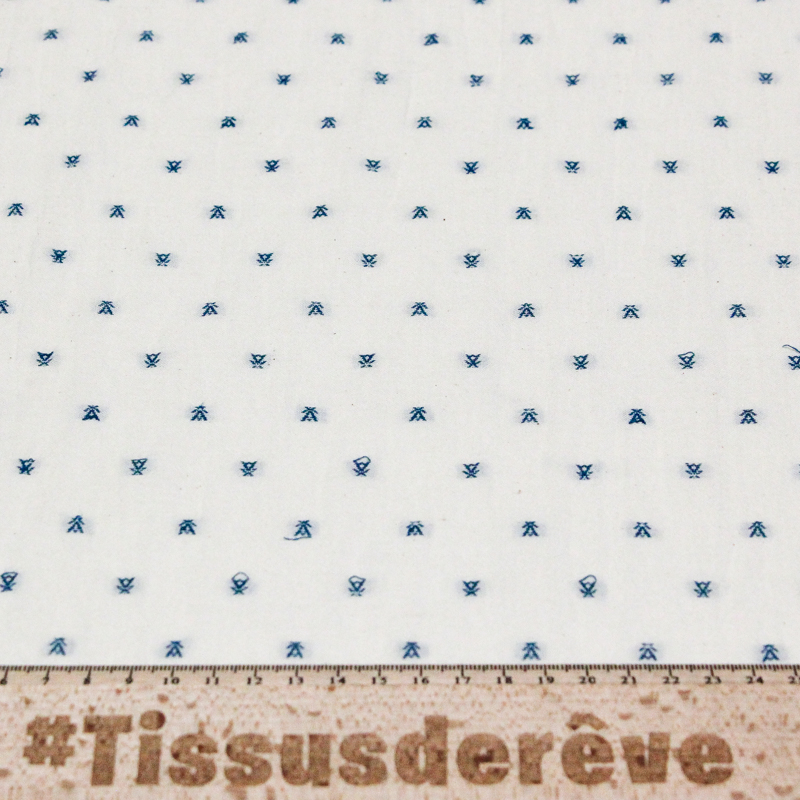 Toile de coton brodée - Tipi bleu