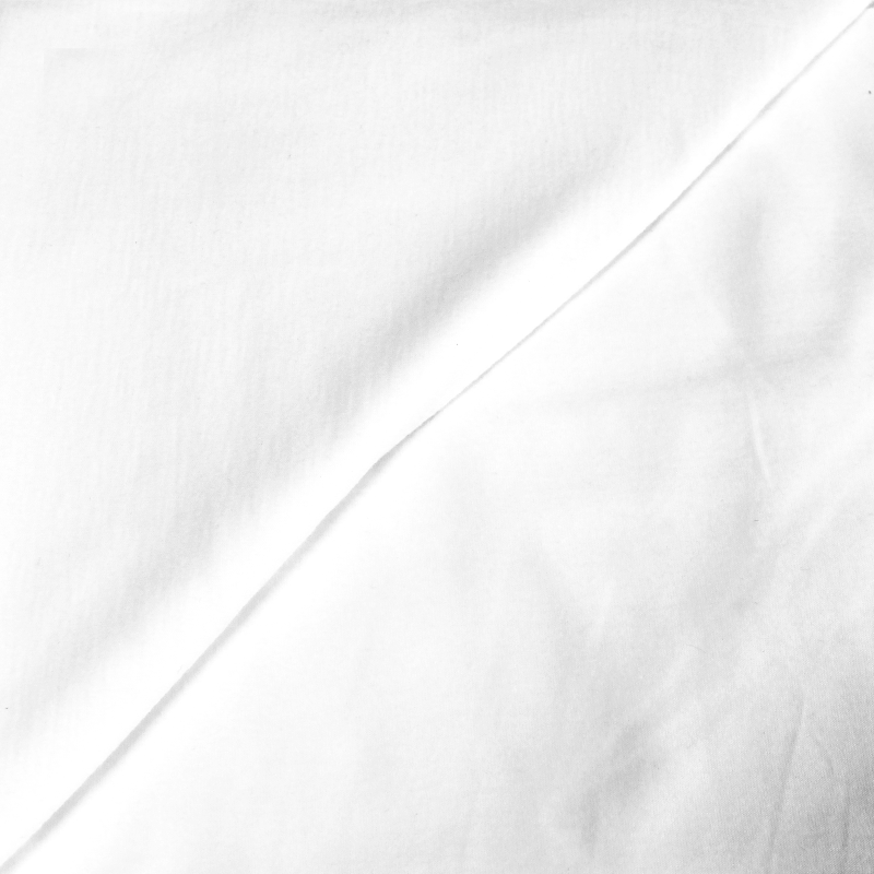 Jersey uni 100% coton - Blanc