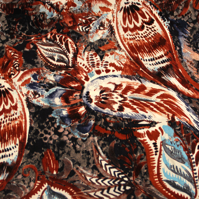 Javanaise - Cachemire Geronimo fond sapin