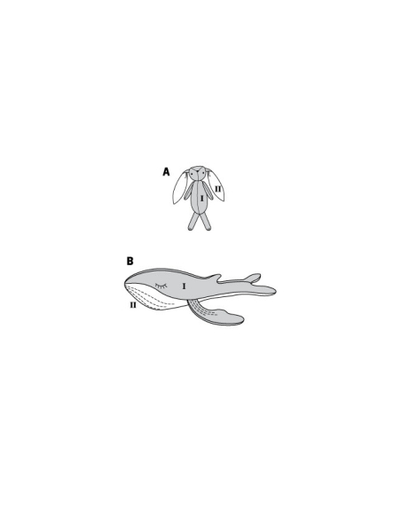 Patron Burda 6044 - Peluches - lapin et baleine