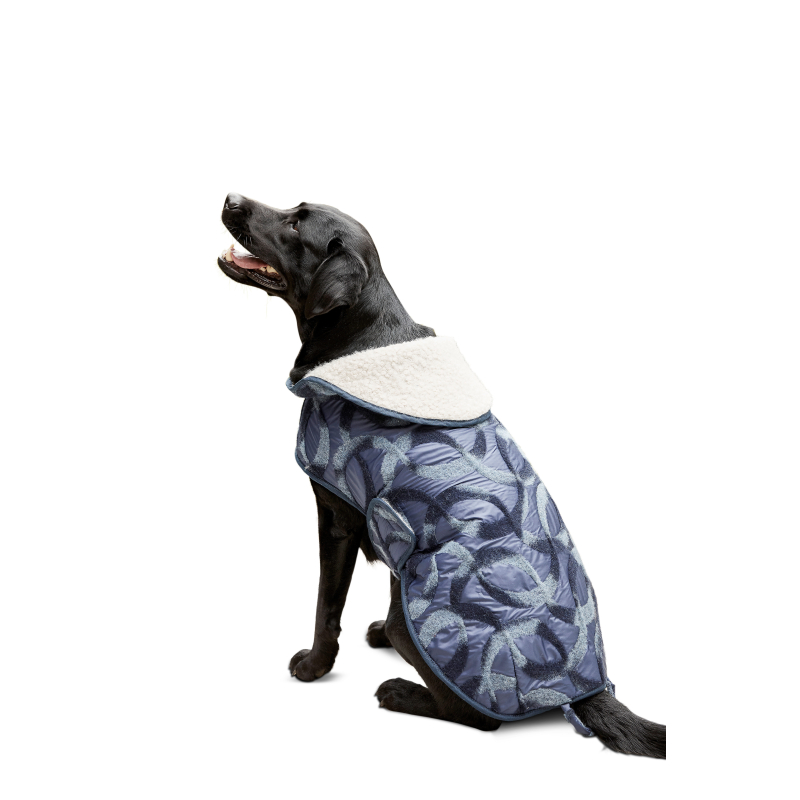 Patron Burda 6049 - Manteau pour chien