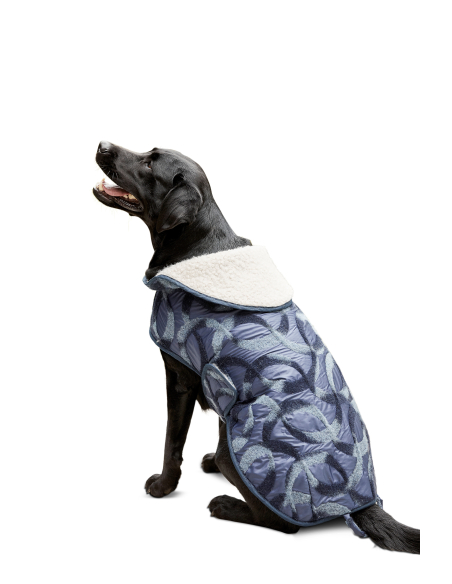 Patron Burda 6049 - Manteau pour chien