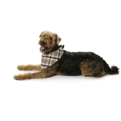 Patron Burda 7752 - Idée Creative Manteau pour chien 2