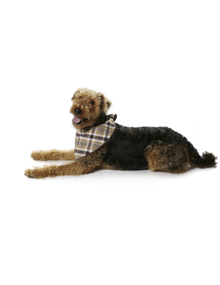 Patron Burda 7752 - Idée Creative Manteau pour chien