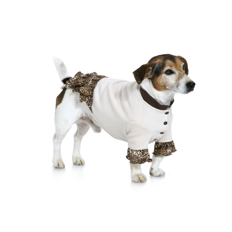 Patron Burda 7752 - Idée Creative Manteau pour chien