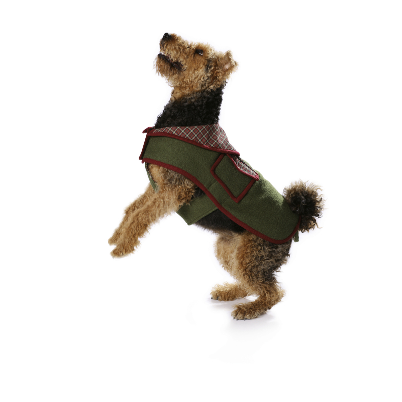 Patron Burda 7752 - Idée Creative Manteau pour chien