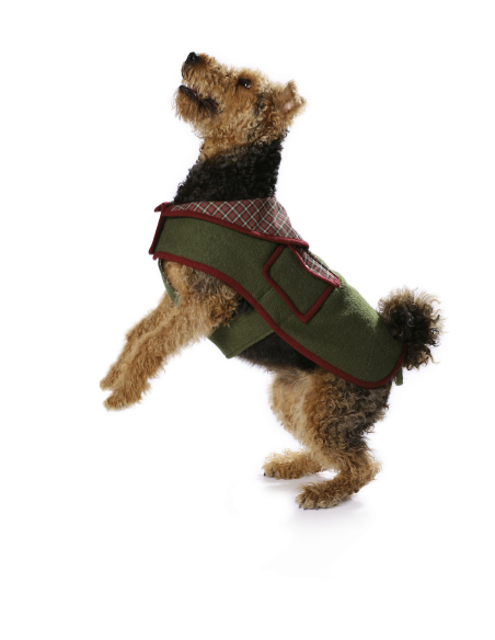 Patron Burda 7752 - Idée Creative Manteau pour chien