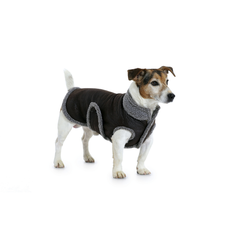 Patron Burda 7752 - Idée Creative Manteau pour chien