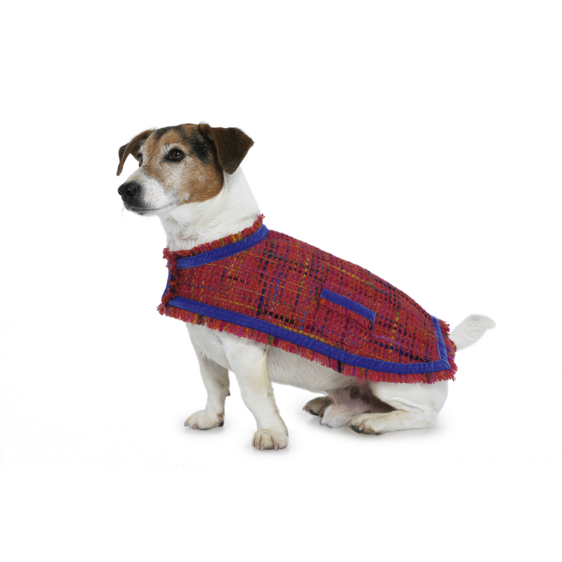 Patron Burda 7752 - Idée Creative Manteau pour chien