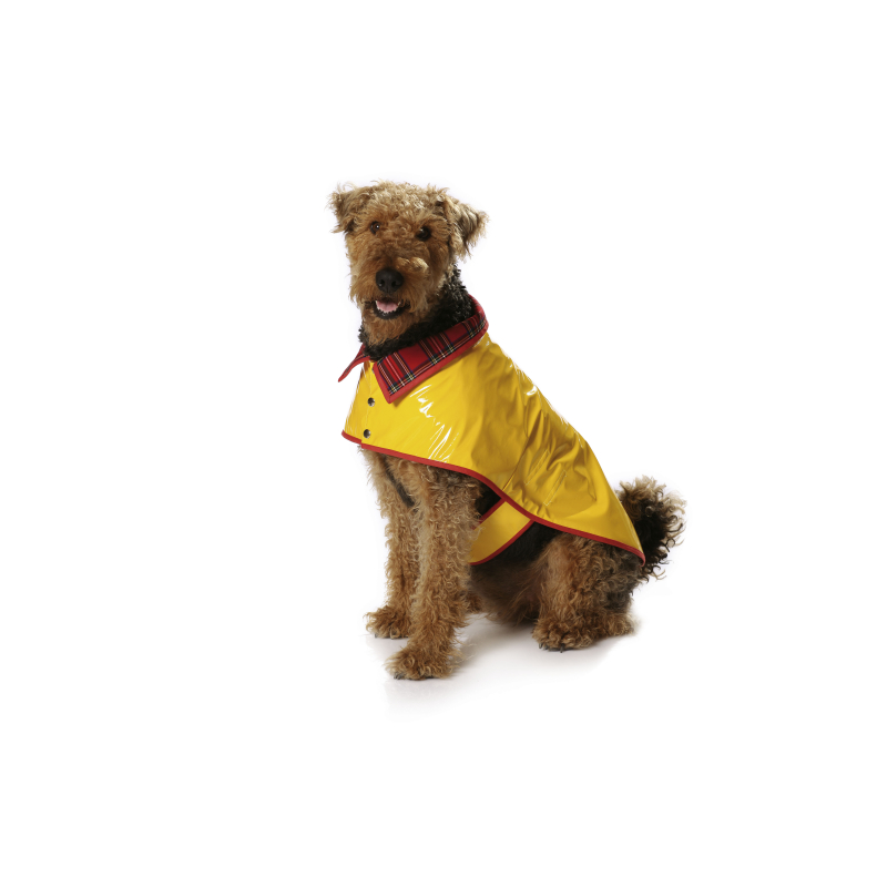 Patron Burda 7752 - Idée Creative Manteau pour chien