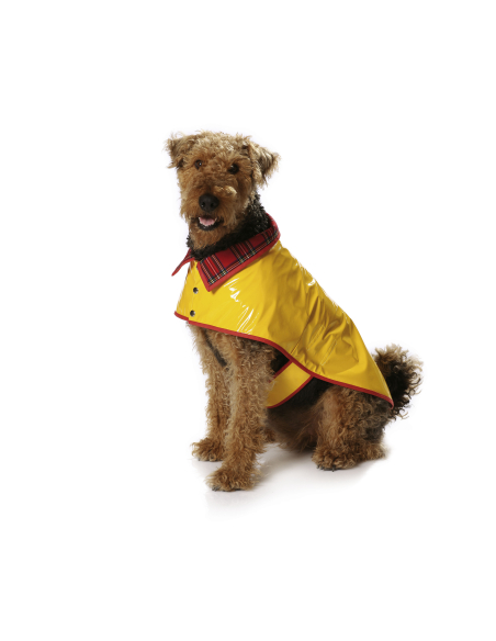 Patron Burda 7752 - Idée Creative Manteau pour chien