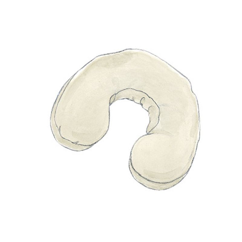 Patron McCall's 4123.OS - Coussins