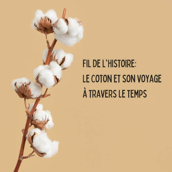 Fil de l'histoire: Le coton et son voyage à travers le temps