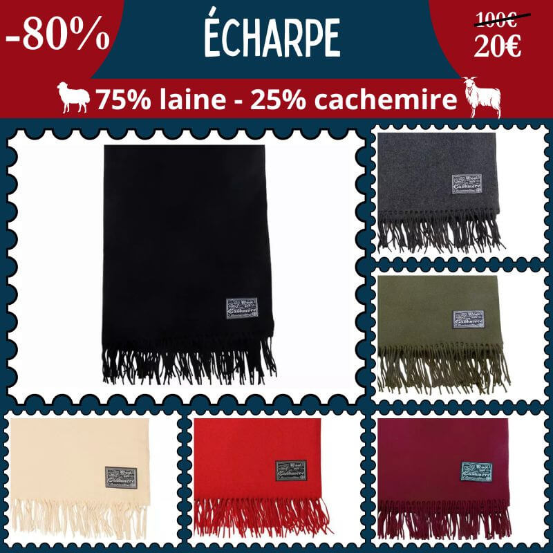 Offre exclusive : -80% sur nos écharpes en laine & cachemire ?